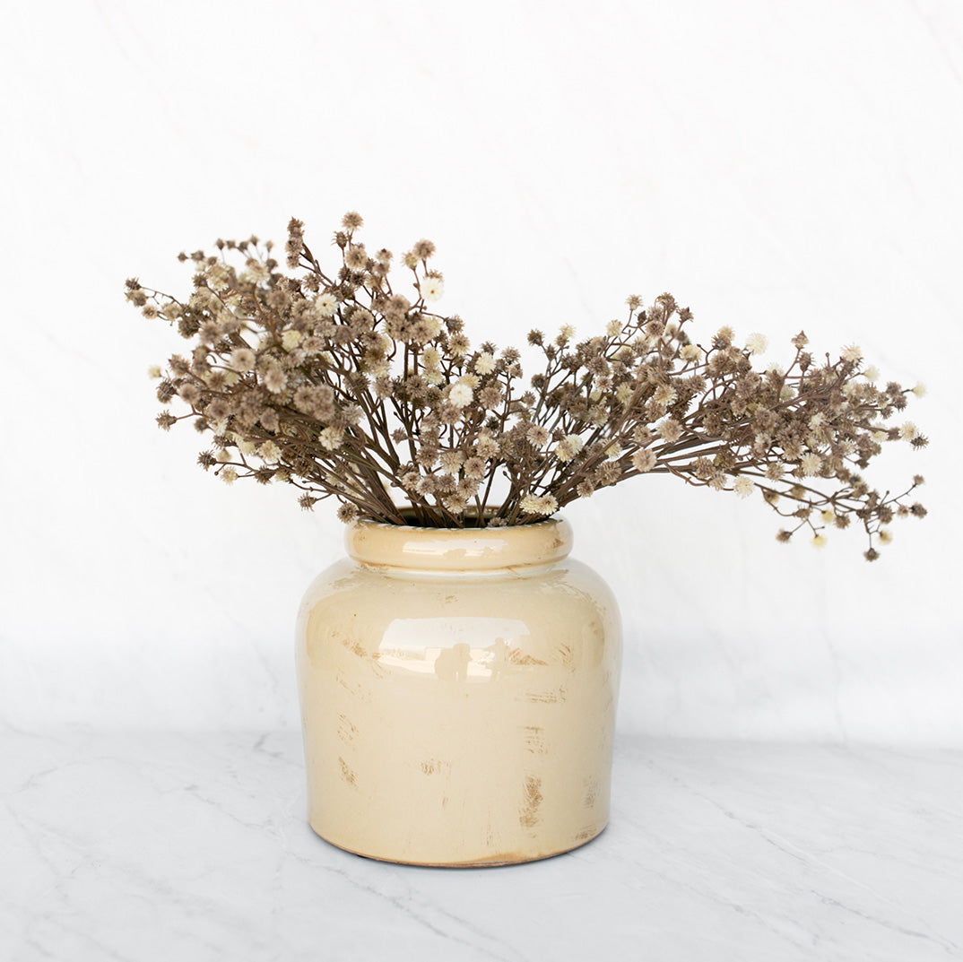 Olive Stem