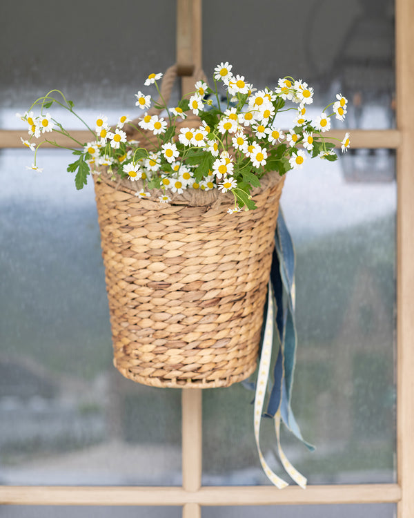 Hanging Woven Basket