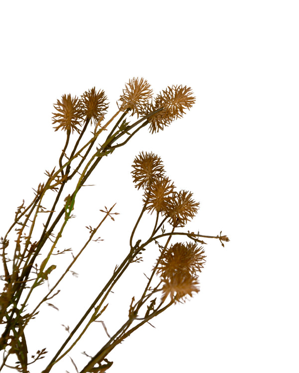 Honey Stems