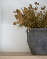 Honey Stems