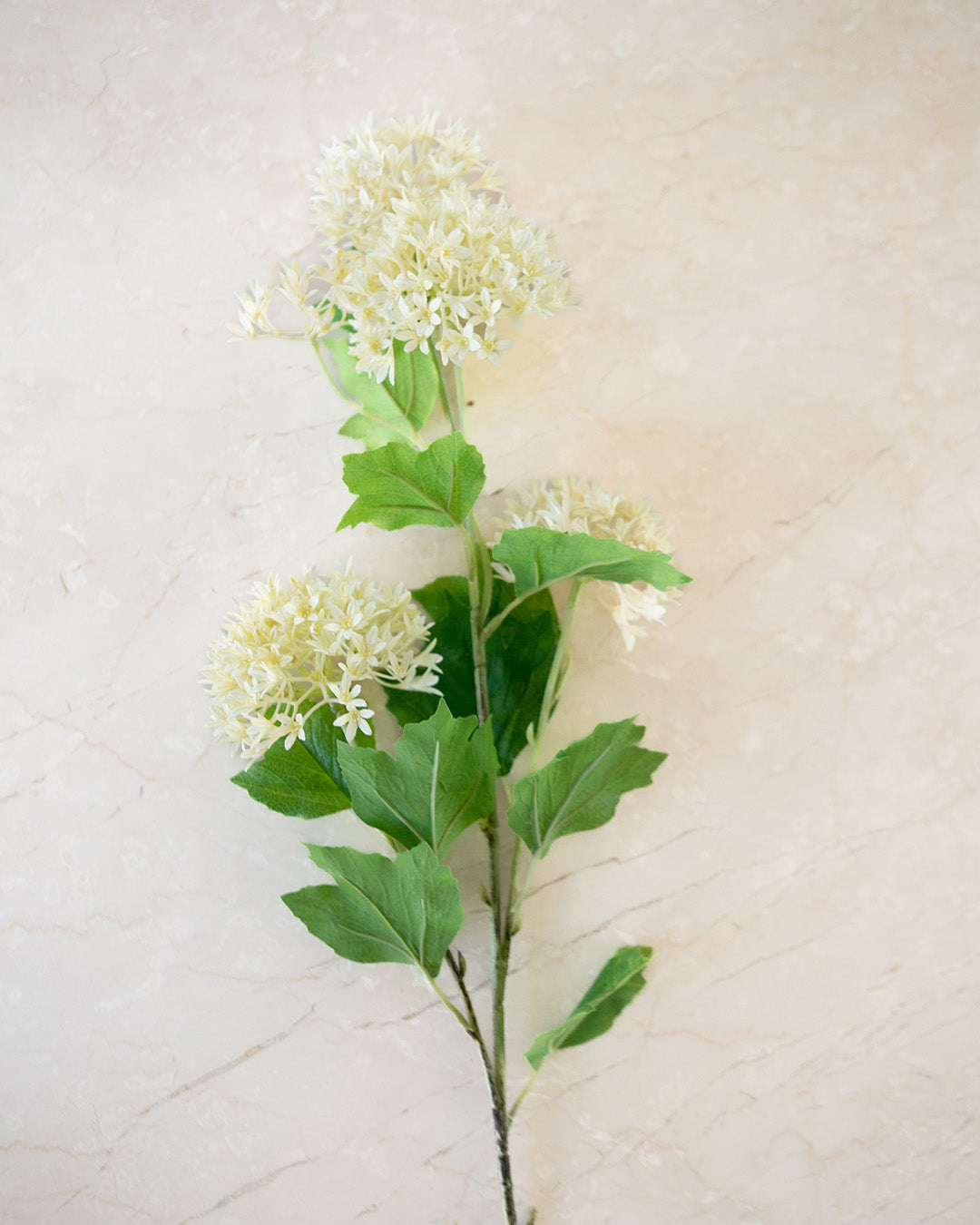Ivory Bloom Stem