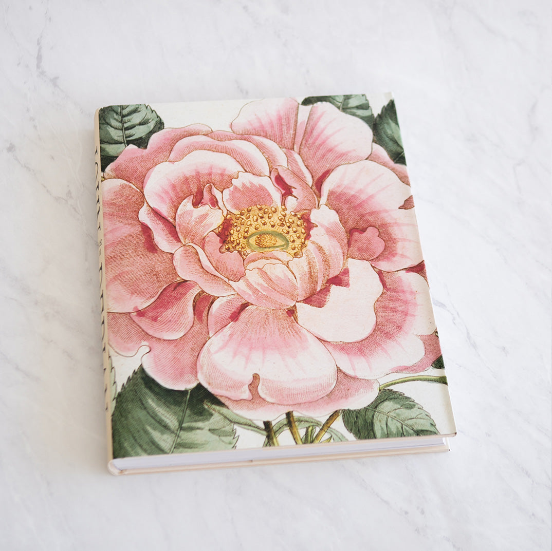John Derian Picture Book II