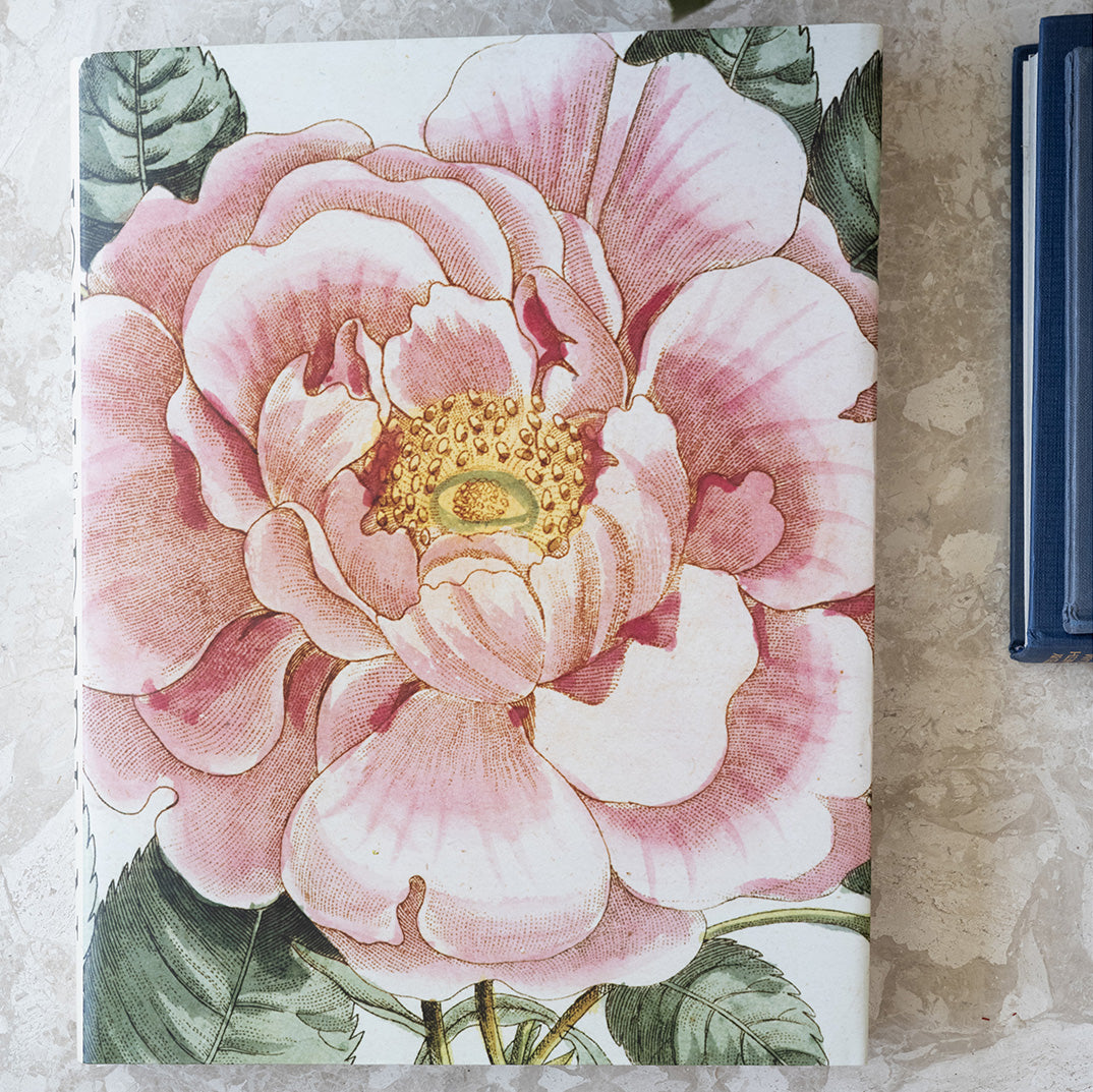John Derian Picture Book II | Elements By Remedy