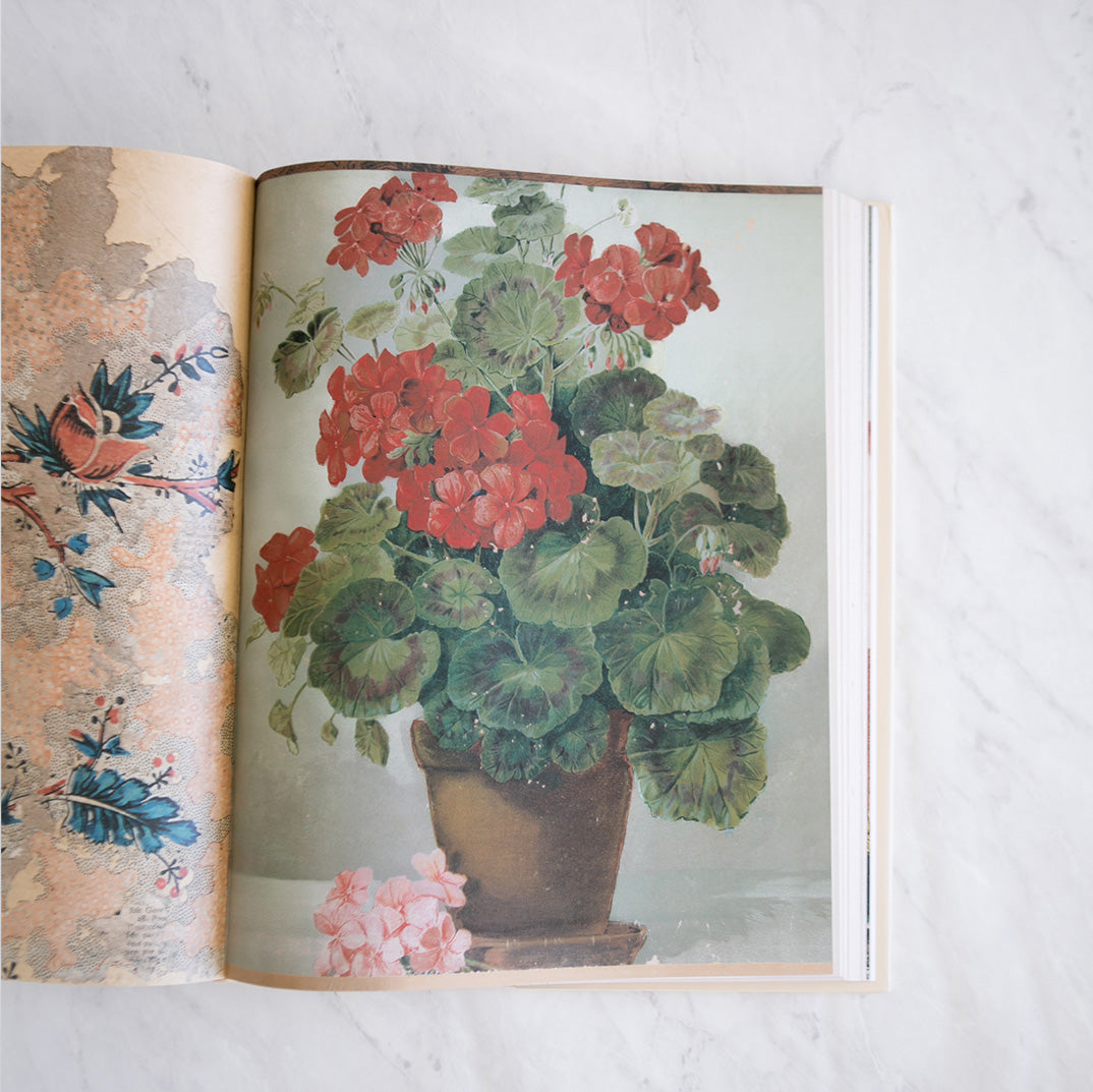 John Derian Picture Book II | Elements By Remedy