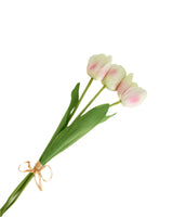 Light Pink Tulip Bundle