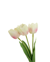 Light Pink Tulip Bundle