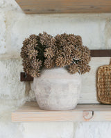 Autumn Stem