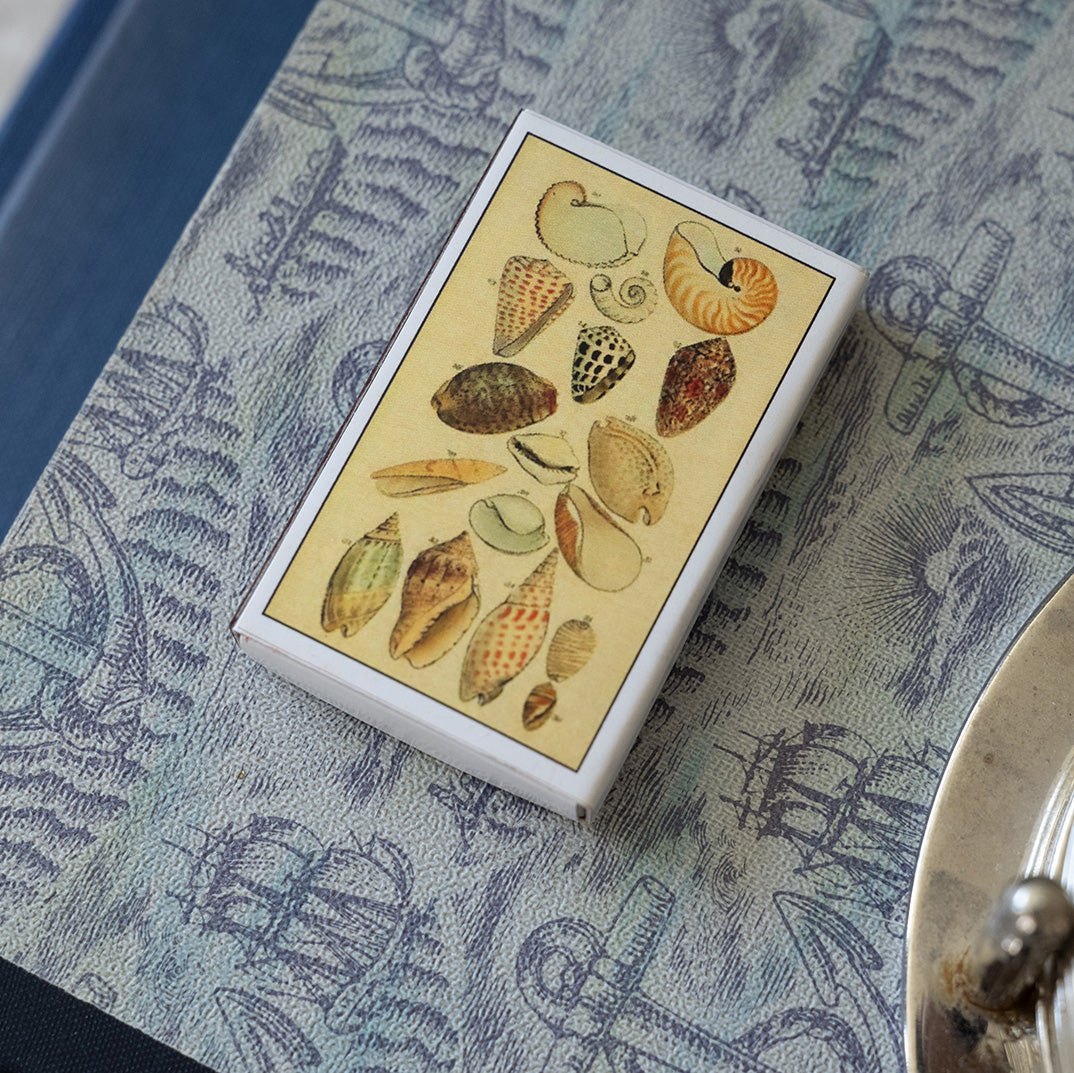 Coastal Shell Matchbox