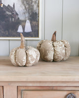 Matilda Pumpkin