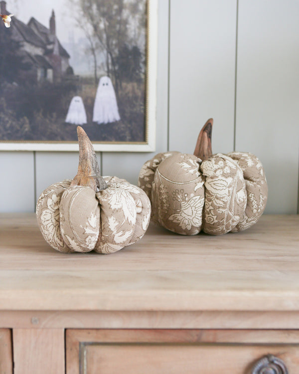 Matilda Pumpkin