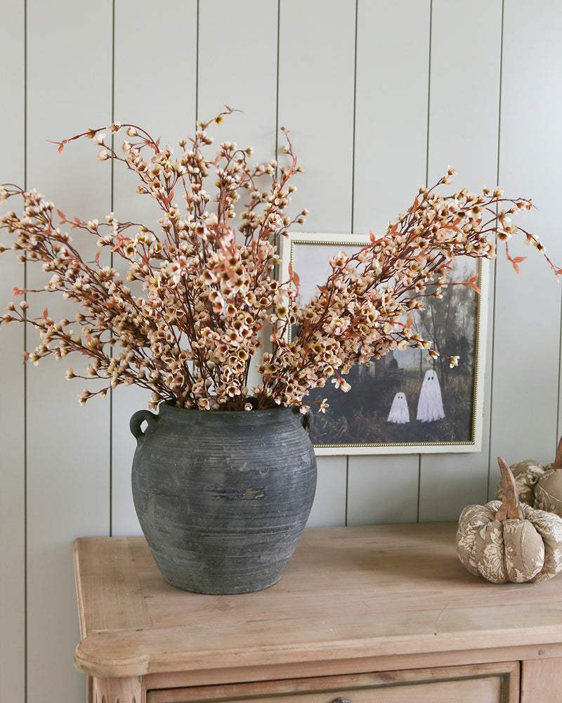 Willow Stem