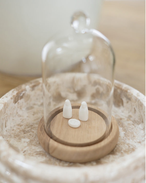Glass Cloche