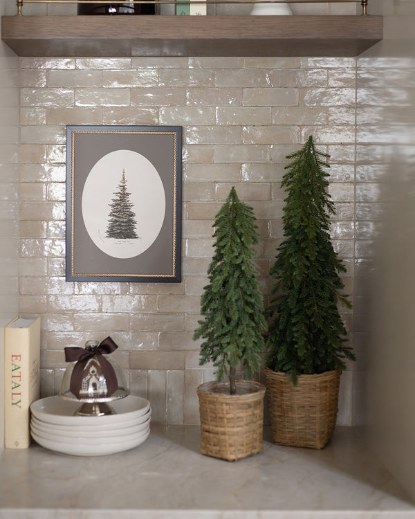 Winter Pine Framed Art