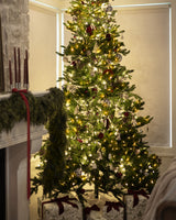 Winterlight Ornament - Set of 2