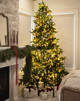 Winterlight Ornament - Set of 2
