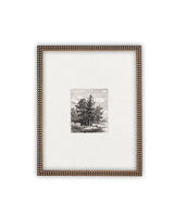 Small Pine Tree Art - Framed