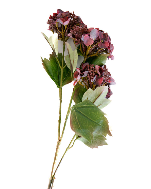 Midnight Stem