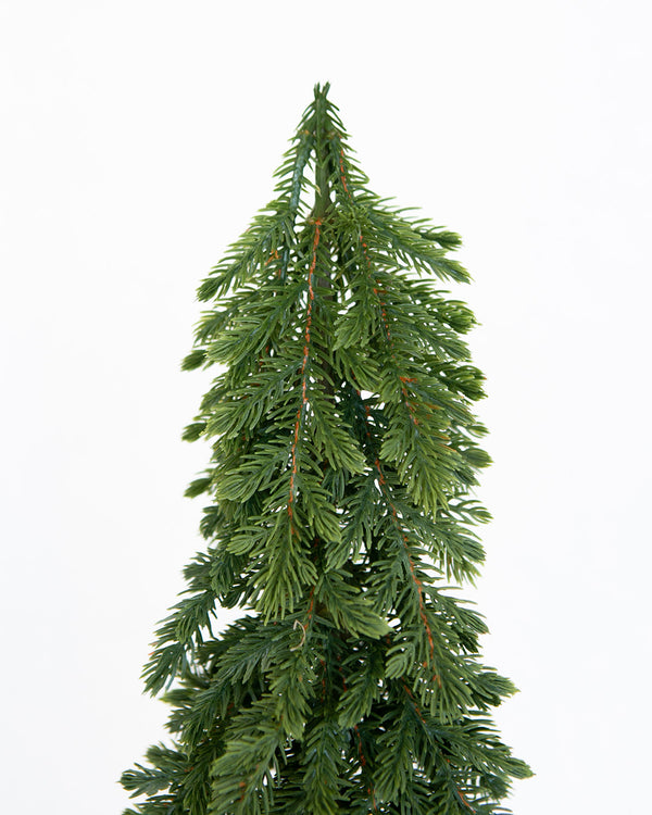 Small Nordic Fir Tree