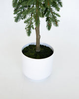 Small Nordic Fir Tree