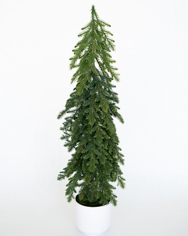 Large Nordic Fir Tree