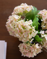 Blush Hydrangea Bundle