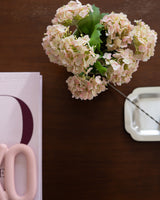 Blush Hydrangea Bundle