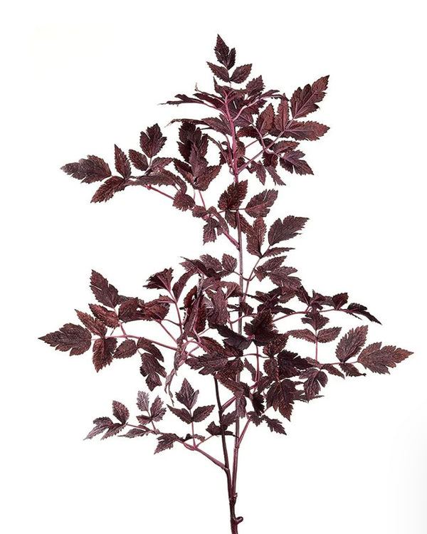 Cranberry Foliage Stem