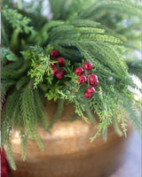 Holly Berry Stem