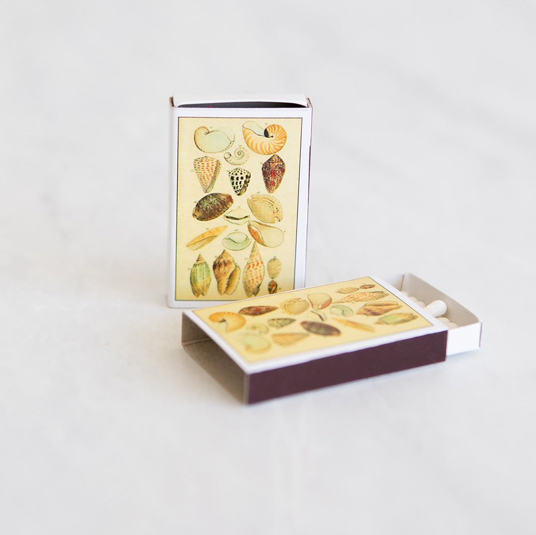 Coastal Shell Matchbox