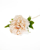 Cream Peony Stem