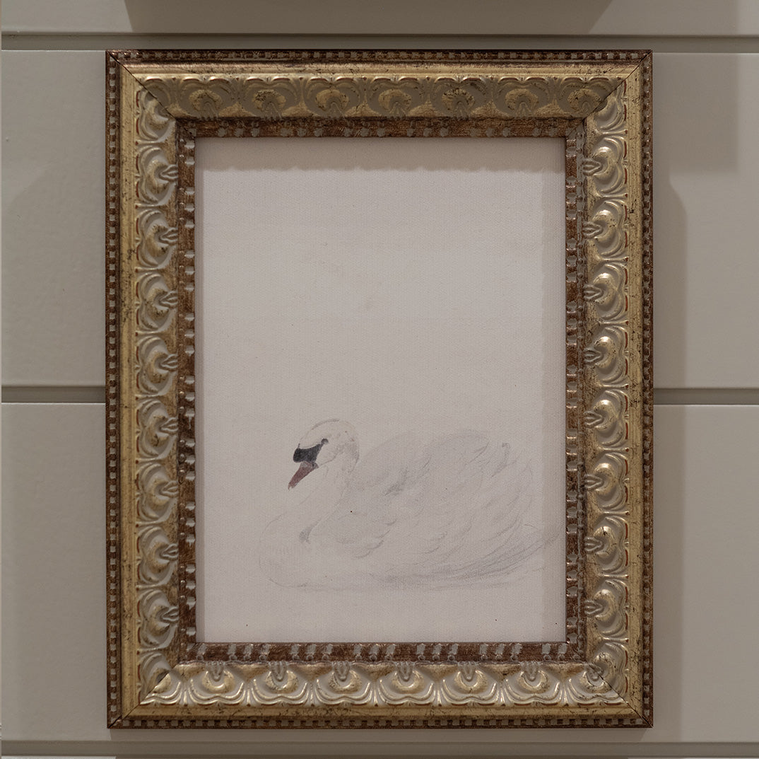 Swan Framed Art