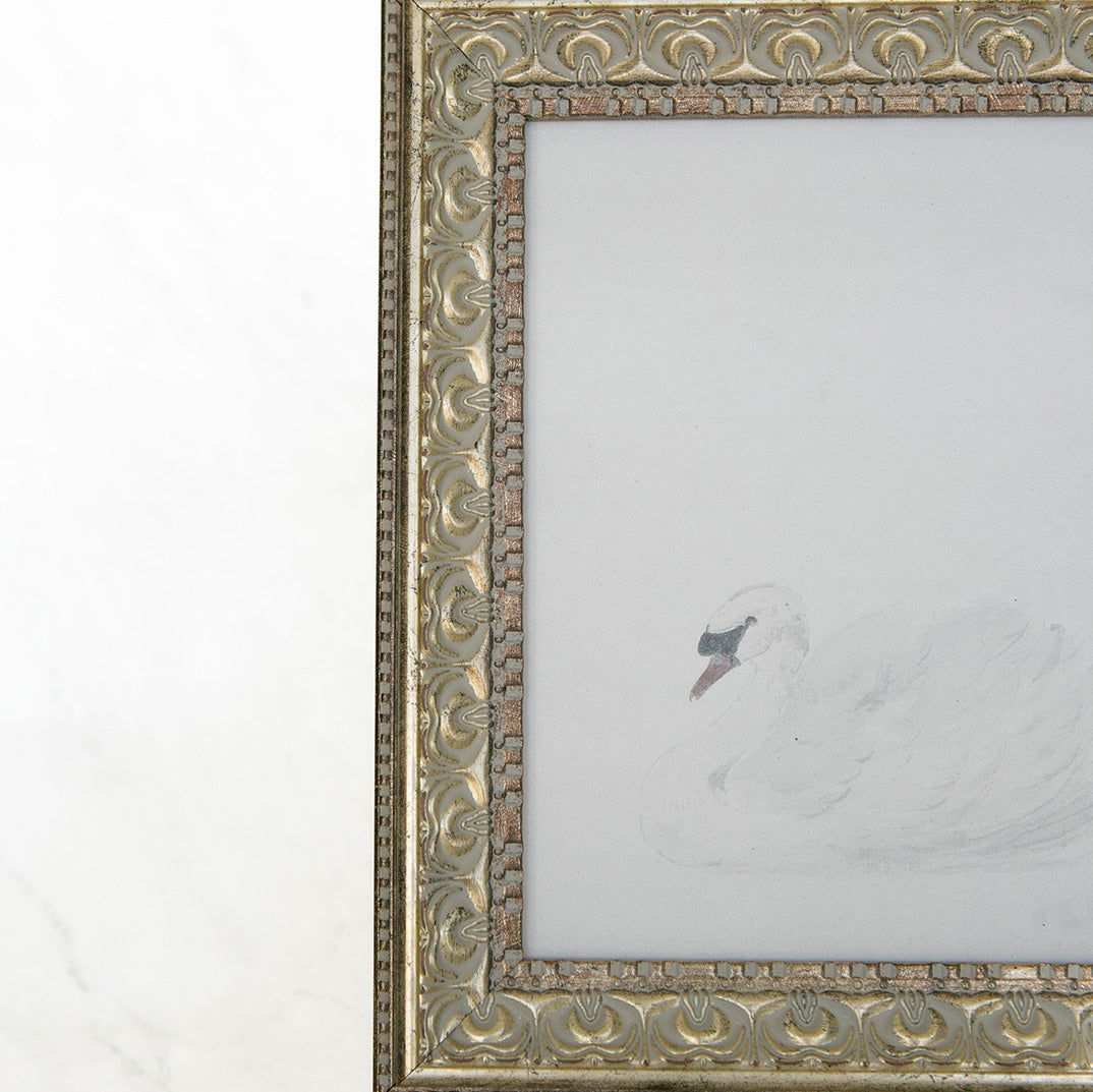 Swan Framed Art
