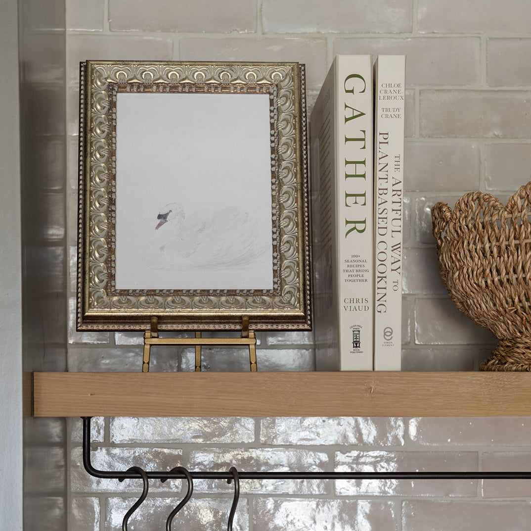 Swan Framed Art