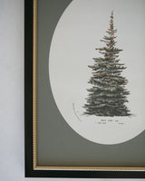 Winter Pine Framed Art