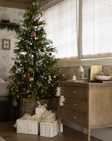 Eloise Home