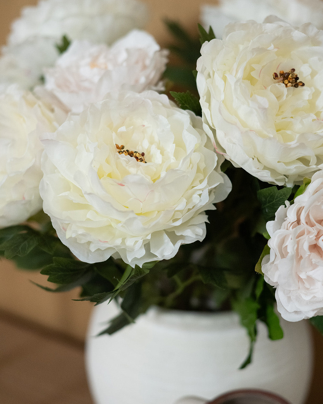 Cream Peony