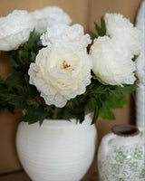 Cream Peony
