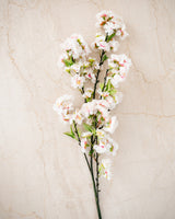 Cherry Blossom Stem