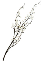 Snowberry Stem