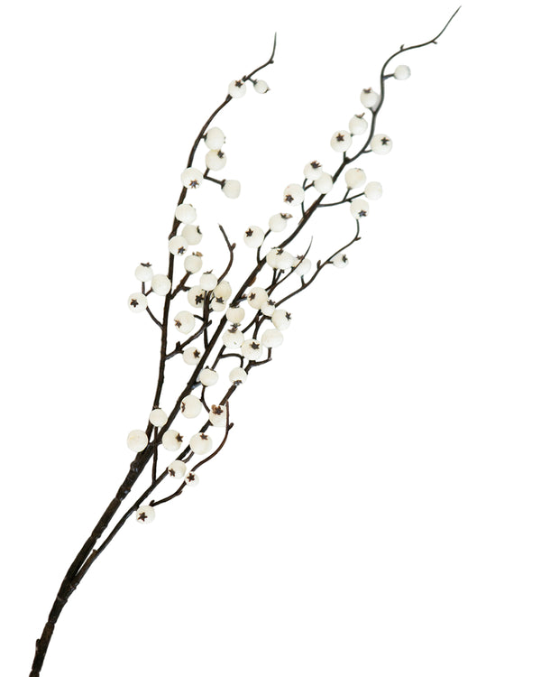 Snowberry Stem