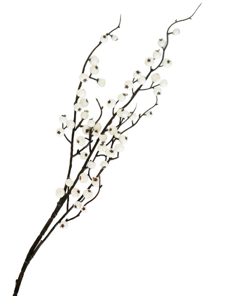 Snowberry Stem