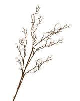 Cream Berry Branch