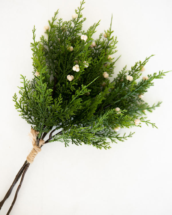 White Berry Cedar Bundle