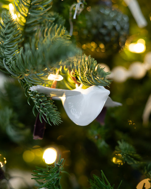 Winter Dove Ornament