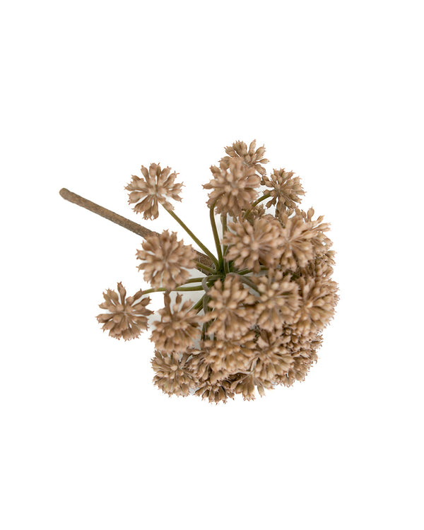 Autumn Stem