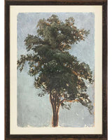 Tree Study Art - Framed
