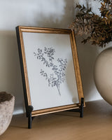 Botanical Sketch Art - Framed