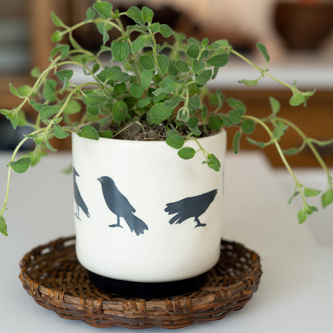 Shadow Crow Pot