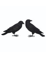 Fright Night Crows- Set of 2