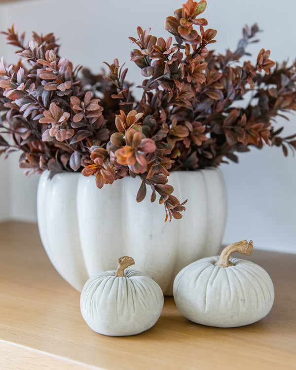 Mini Sage Velvet Pumpkin Set